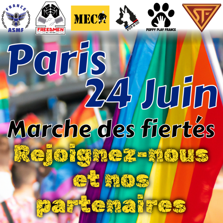 Marche Des Fiertés Paris 2023 Asmf Gay 